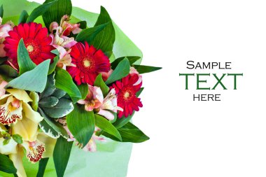 Beyaz arkaplanda izole çiçekler