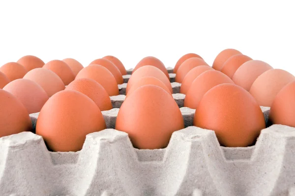Αυγά σε πρόσθετο κιβώτιο που απομονώνονται σε λευκό φόντο — Φωτογραφία Αρχείου