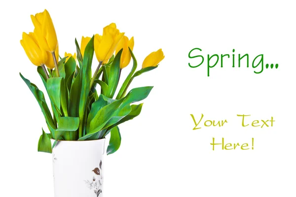 stock image Yellow tulips