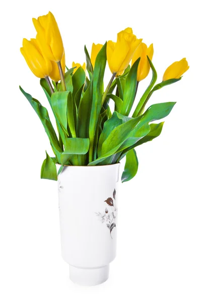 stock image Yellow tulips