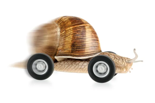 迅速在车轮上的蜗牛 — 图库照片