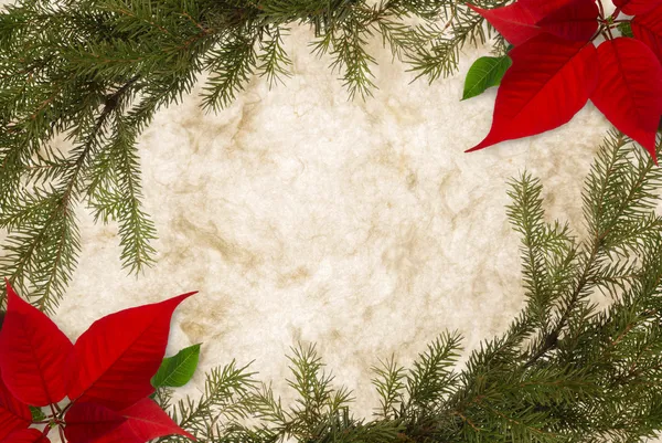 접경된 크리스마스 양피지 — 스톡 사진
