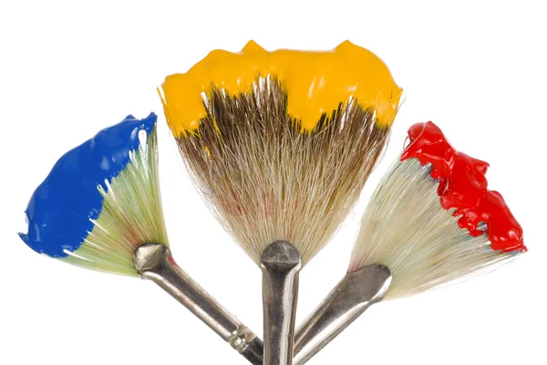 Primary Colors on fan brushes — Stock Photo, Image