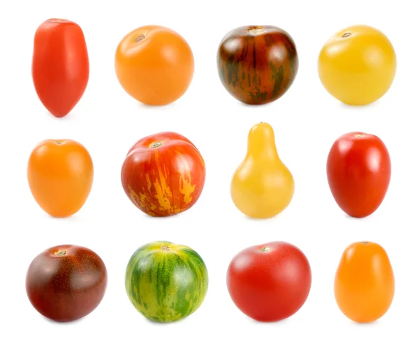 stock image 12 different sorts of tomatoes over white