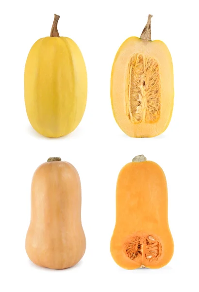 バターナットおよびスパゲッティ スカッシュの 4 つのショット — ストック写真
