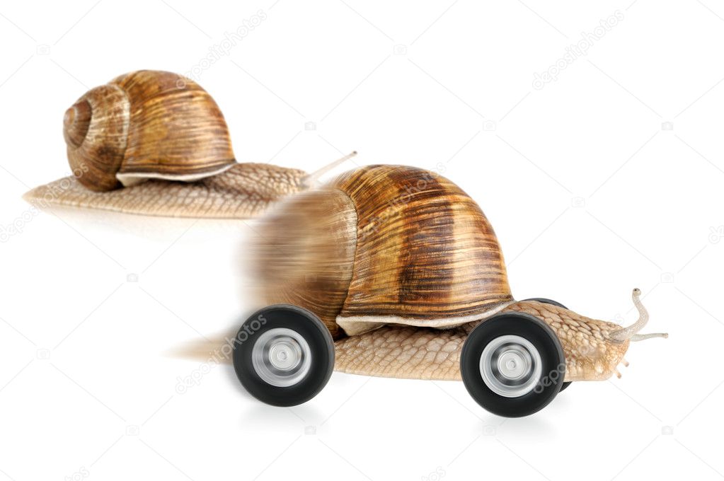 Racing snail on wheels