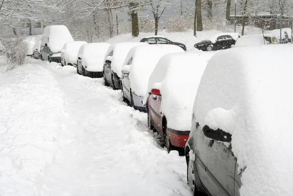Ряд автомобилей, покрытых снегом — стоковое фото