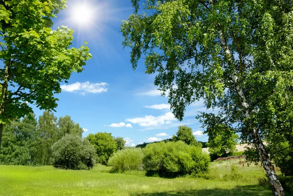 Krásné slunné letní krajina — Stock fotografie