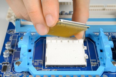 A new CPU being mounted clipart