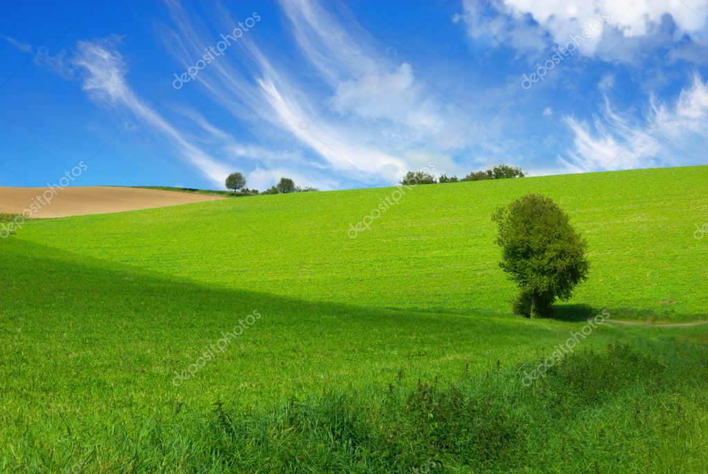 Happy little landscape — Stock Photo © Smileus #5041785