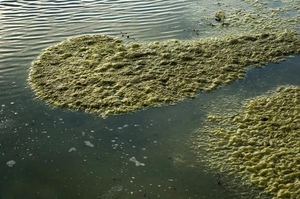 stock image Pollution