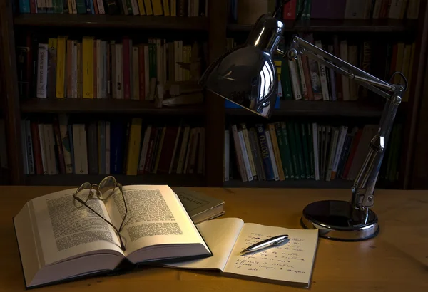 Lezen Van Een Boek Het Zachte Licht Van Een Lamp Stockfoto