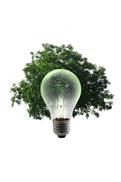 Energy cleaned bulb — Stock Photo, Image