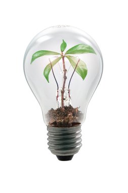 Bulb little five clipart