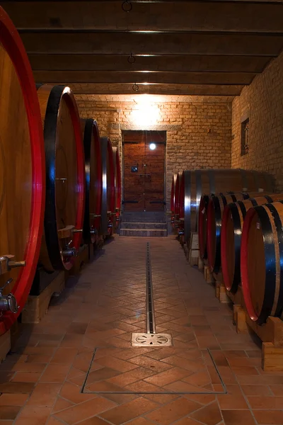 stock image Wine Cellar