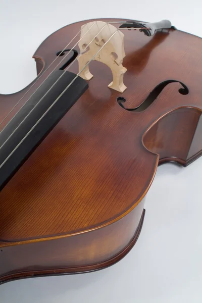 ヴァイオリン — ストック写真