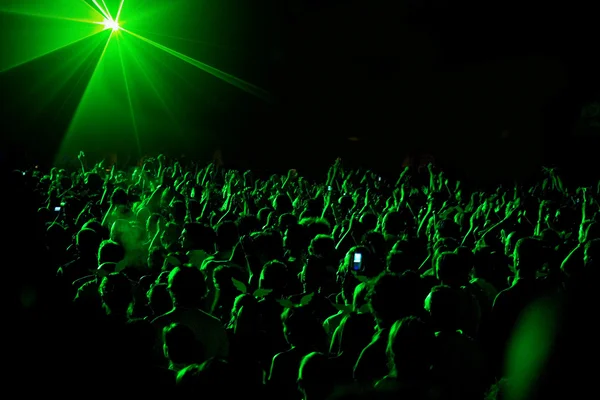 Fan at concert — Stock Photo, Image