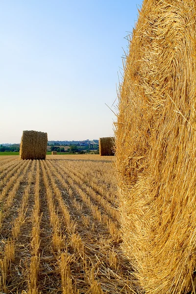 Landscape with hay roll — Stock Photo, Image