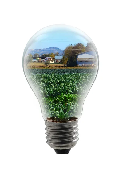 Campo cultivado em uma lâmpada — Fotografia de Stock