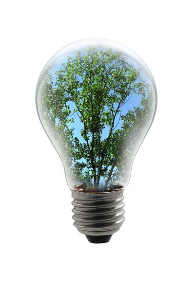 Tree in a Light Bulb — Stock Photo, Image