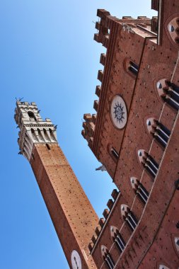 Siena, duomo. İtalya