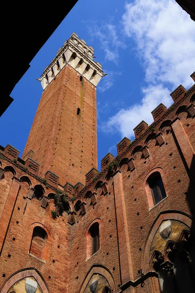 Siena, duomo. İtalya