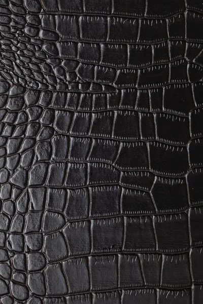 Stock image A black crocodile skin background