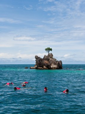 Dalış görülen mercan ve balık Güney Tayland Phuket