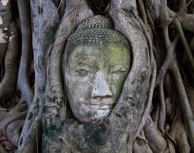 The Head of The Sand Stone Buddha Image clipart