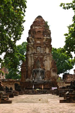 Buda görüntü wat mahathat ayutthaya, Tayland