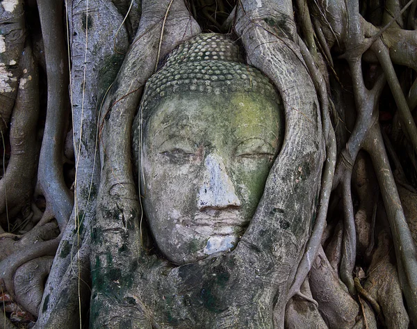 La tête de la pierre de sable Bouddha Image — Photo