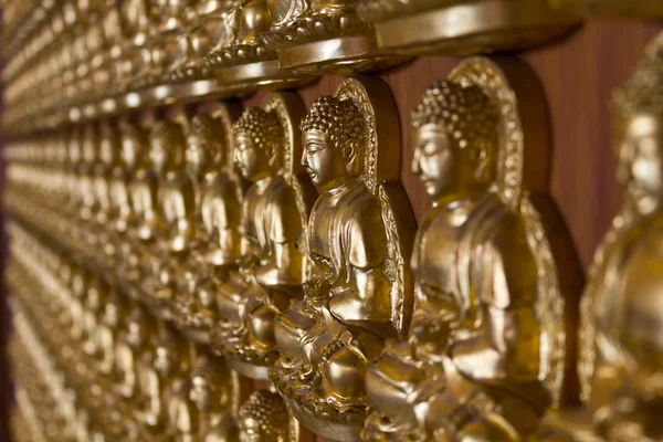 Multe Imagini Buddha Perete Templul Chinez Thailanda — Fotografie, imagine de stoc