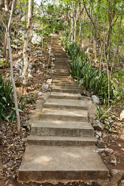 Escalier en pierre — Photo