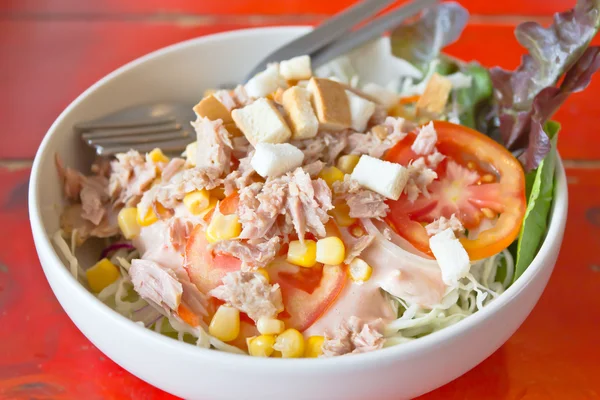 Sałatka z tuńczyka z warzywami — Zdjęcie stockowe