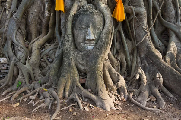 Cabeza de la piedra de arena Buddha Image — Foto de Stock