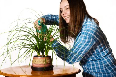 Woman spraing the plant clipart