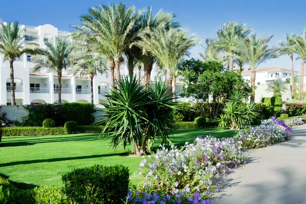 Hotel garden