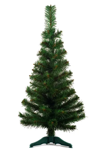 stock image Christmas tree