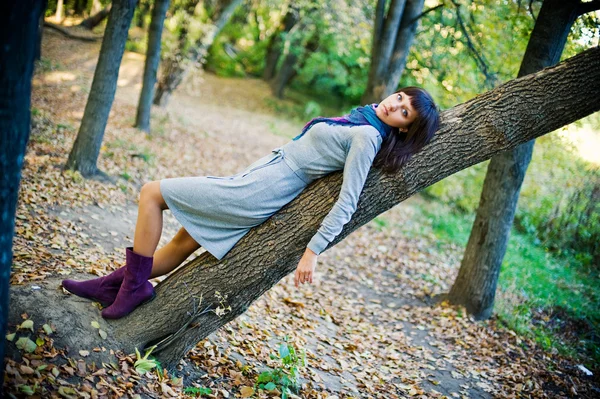 stock image The girl lies on a tree.