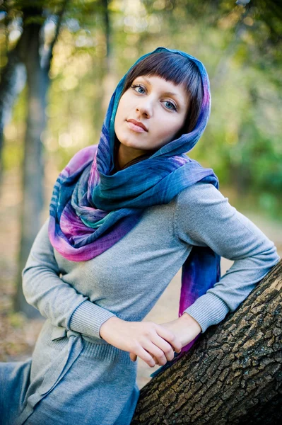 stock image Portrait of the girl in a scarf