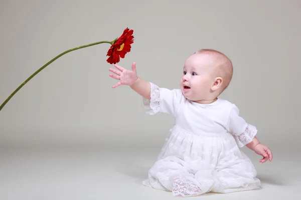 Beautiful baby girl holding red flower — Stock Photo, Image