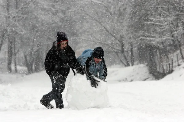 stock image Snow fun 3