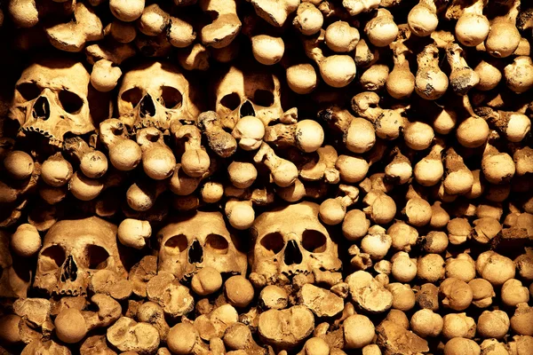 Schädel und Knochen Wand — Stockfoto