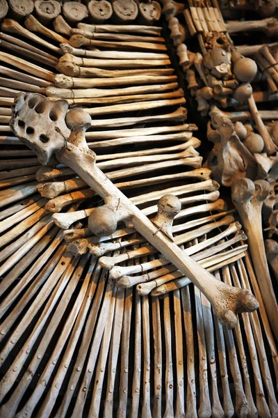 多くの人間の骨の順に並べ替え — ストック写真
