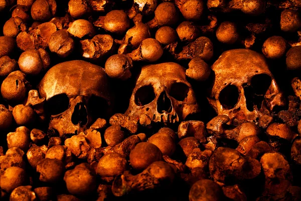 Menschenschädel und andere Knochen — Stockfoto