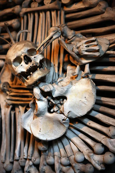 Скулы и кости — стоковое фото