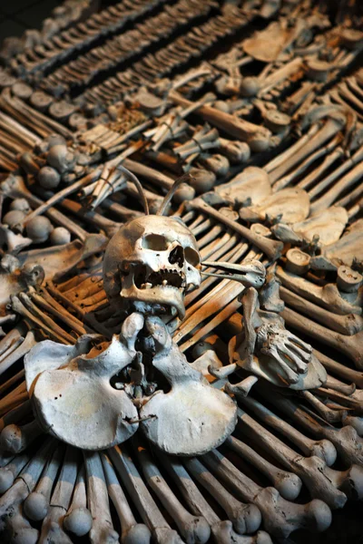 Scul Und Andere Menschliche Knochen Auf Einem Haufen Gelagert — Stockfoto
