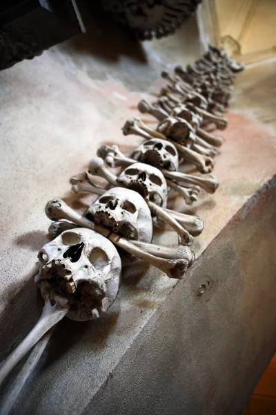 Schädel Und Knochen Der Ecke Der Mauer Platziert — Stockfoto