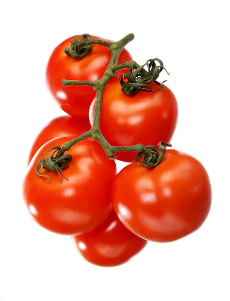 Tomates, isolados — Fotografia de Stock