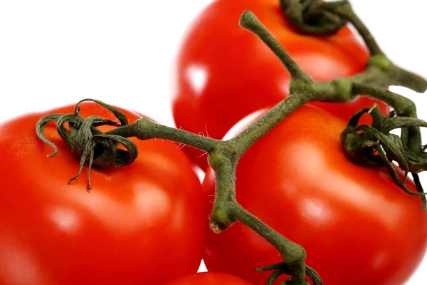 Closeup de tomates 2 — Fotografia de Stock